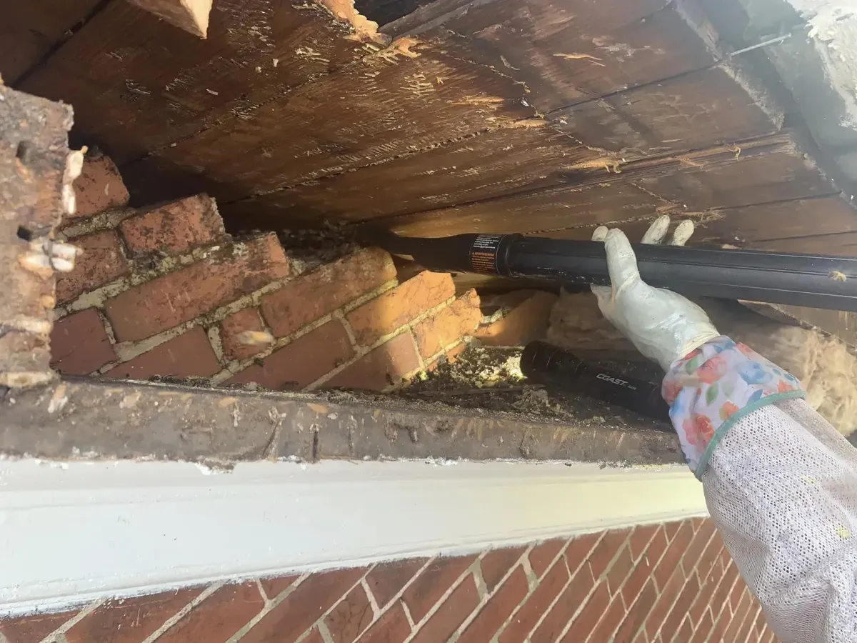 Soffit Hive Removal