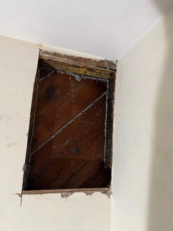 Honeycomb Removal Transformation — after