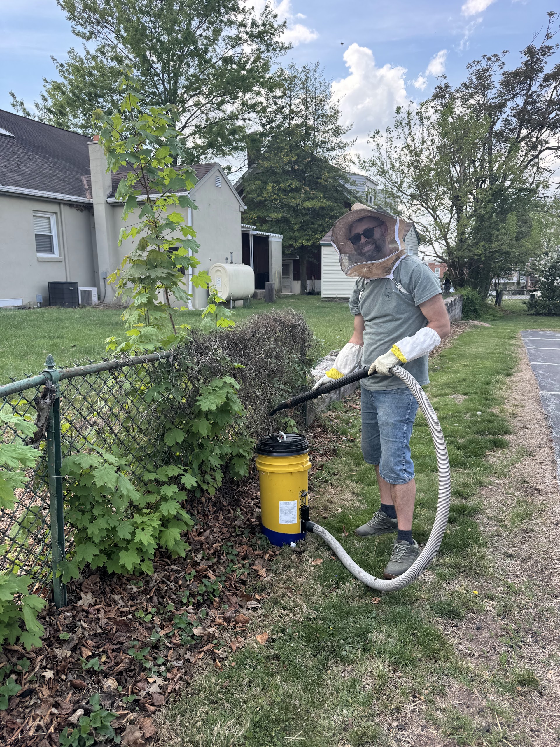 Residential Bee Removal