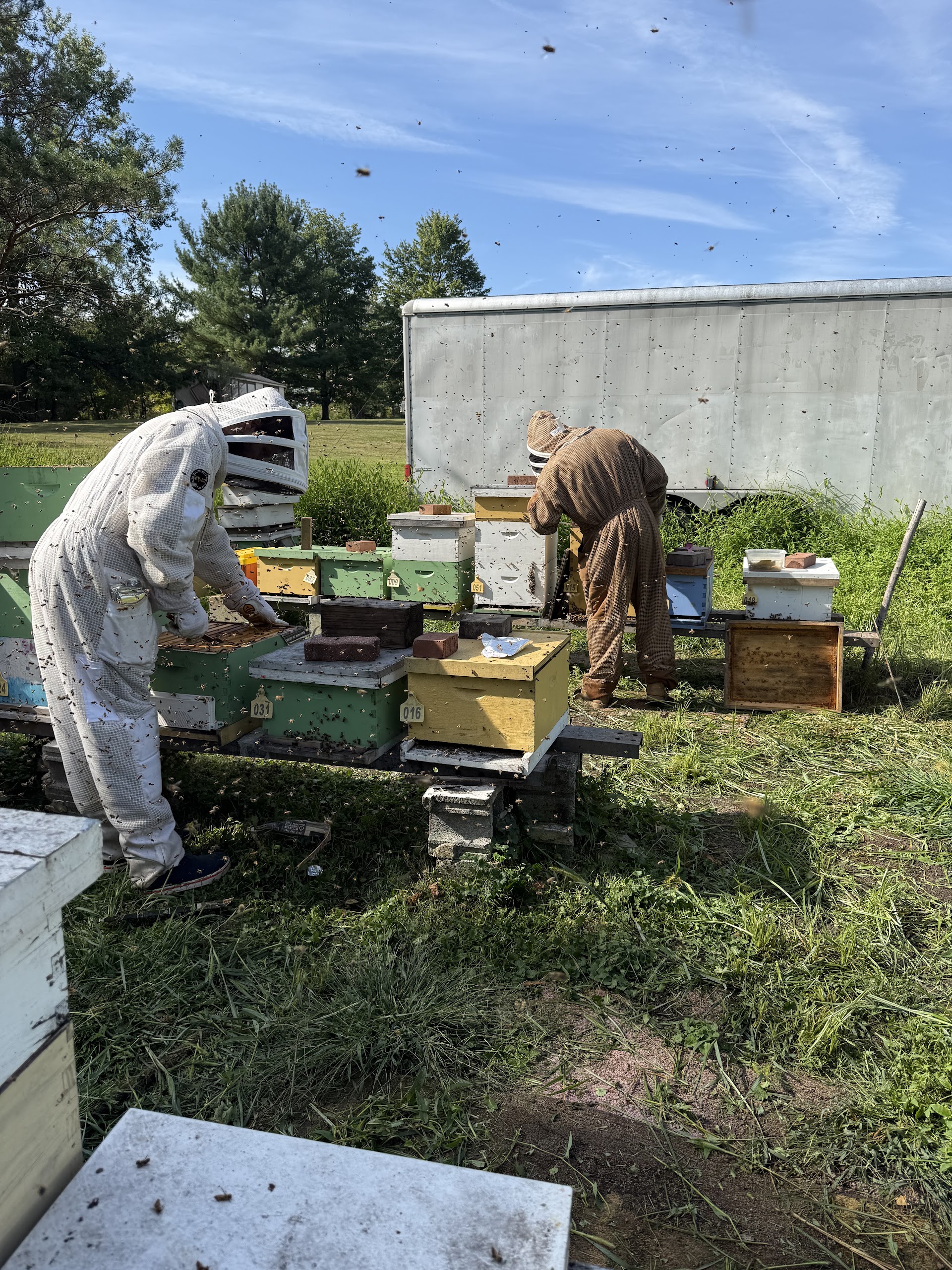 Bee Hive Relocation