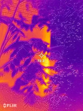 Thermal Hive Detection